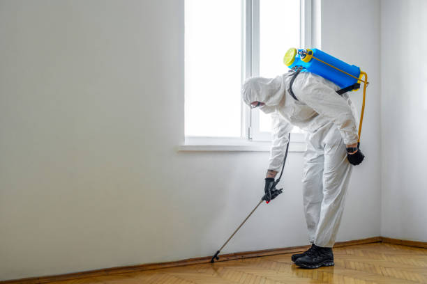 Best Residential Pest Control  in Owenton, KY