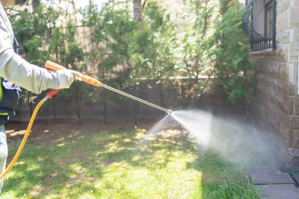Best Mosquito Control Services  in Owenton, KY