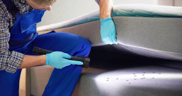 Best Ant Control Services  in Owenton, KY