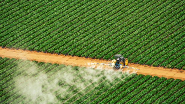 Professional Pest Control in Owenton, KY