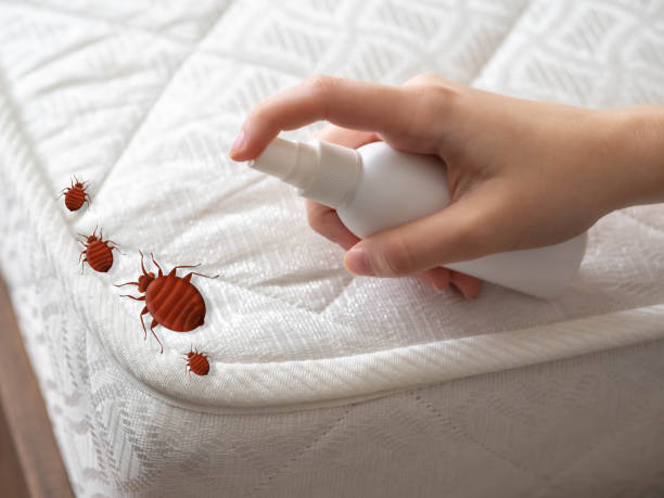 Insect Control in Owenton, KY